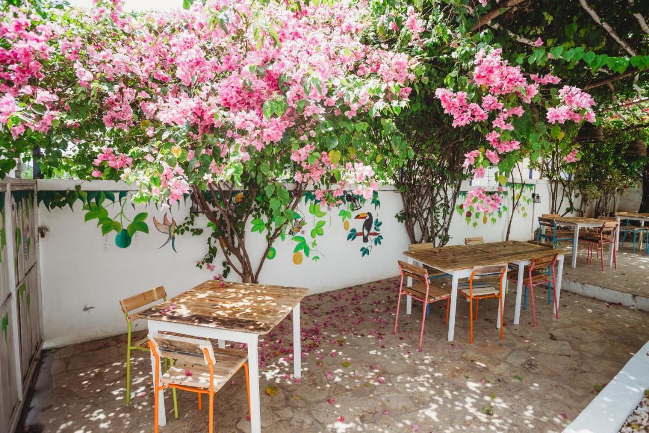 Bayahibe Village Inn Zewnętrze zdjęcie