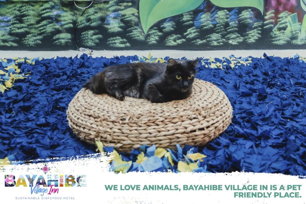 Bayahibe Village Inn Zewnętrze zdjęcie